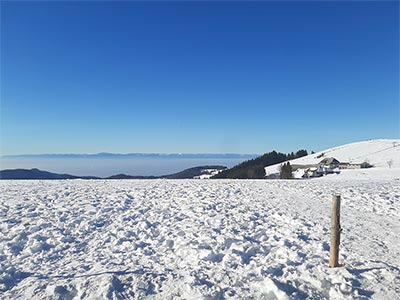 Winter im Schwarzwald
