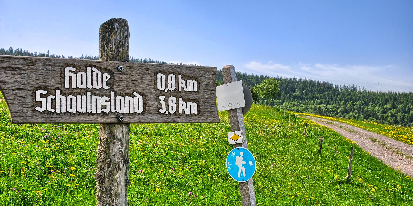 Schauinsland